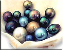 Schwarze Perlen, Tahiti Perlen